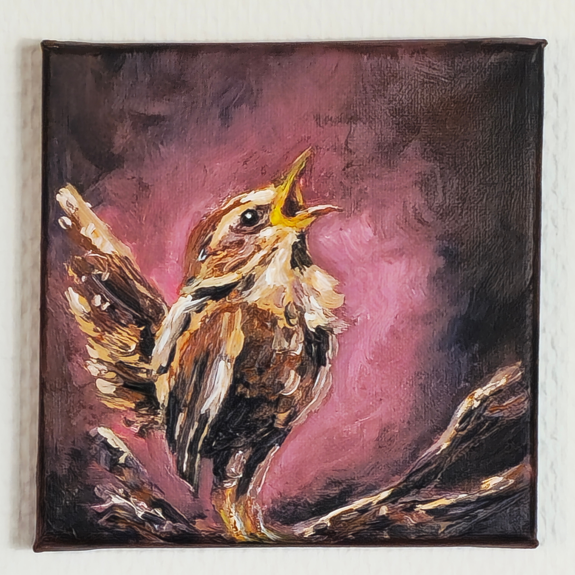 Sparrow Study